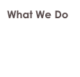 What We Do